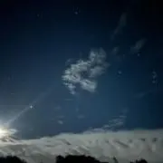 ゆーの画像