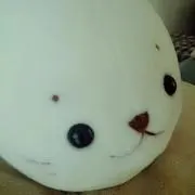 きし