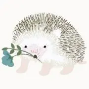 はりねずみ男爵