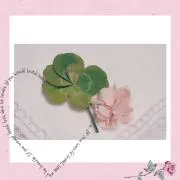みいこ♡プロフ必読*˙︶˙*)ノ"の画像
