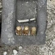 TAKOWASAの画像