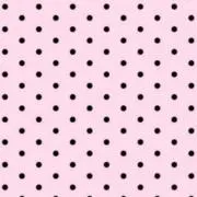 うにの画像
