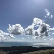 ゴマゴマの画像