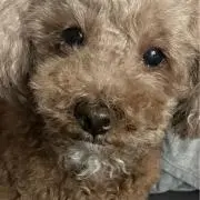 s♡
