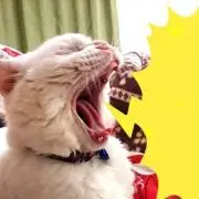 さんとすの画像