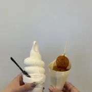 cocoの画像