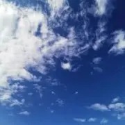 ロキロキ