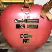 クロの画像