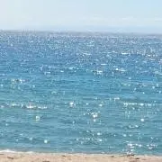 chiezoの画像