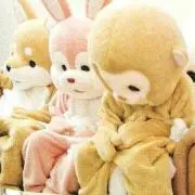 ずっちの画像