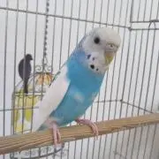 もとことの画像