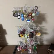 くぅ子の画像