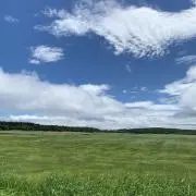 backbackの画像