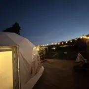 もぐの画像