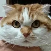 marumiの画像