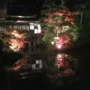 プンプイの画像
