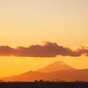 宝の画像