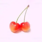 桜♡SHOPの画像