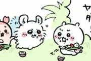 ♫の画像
