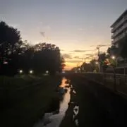 齊藤 剛の肉筆アートの画像