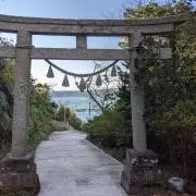 和花の画像
