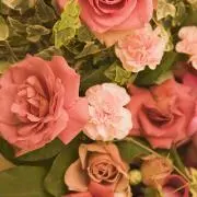 真珠