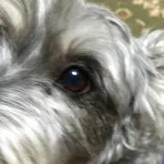 じょにーの画像