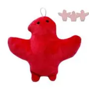 梛の画像