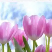 ♪♪はる♪♪の画像