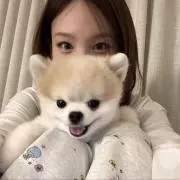 Cの画像