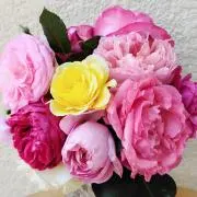 コーユリ¨*•.♪.♡の画像