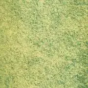 のののの画像