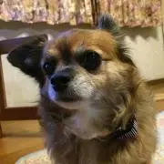 ももママ