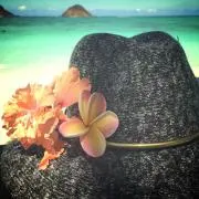pinoの画像