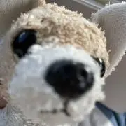 なつ プロフィールみてください！の画像
