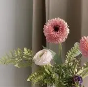 ai. ※発送日プロフィール要確認※の画像