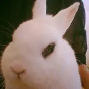 ぱじゃま