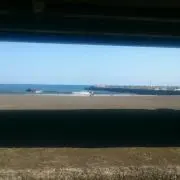 レモングラスの画像