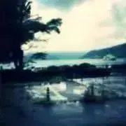 みみみの画像