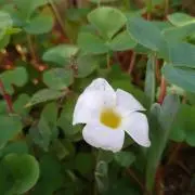 むつき◆プロフ確認下さいの画像