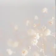 minaの画像