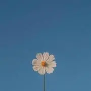 Ami.の画像