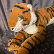ほし☆タイガーの画像