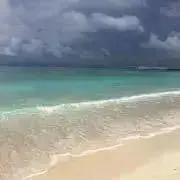 ocean'sの画像
