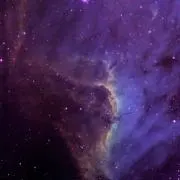 レイの画像