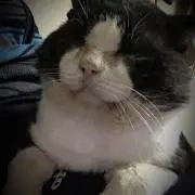 ゴルフ好き
