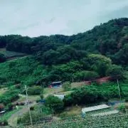 むさし