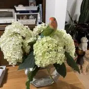 yuuの画像