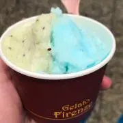 カラス