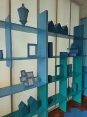 こっこの画像